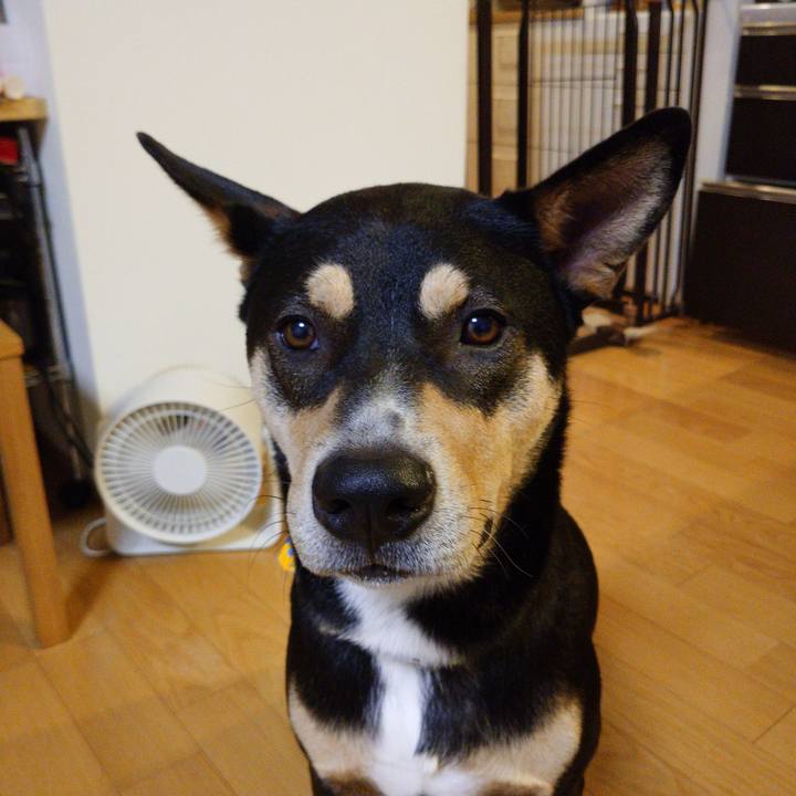 2fb2b34e f242 40e2 b6d9 fec00df824e8 1572781502536