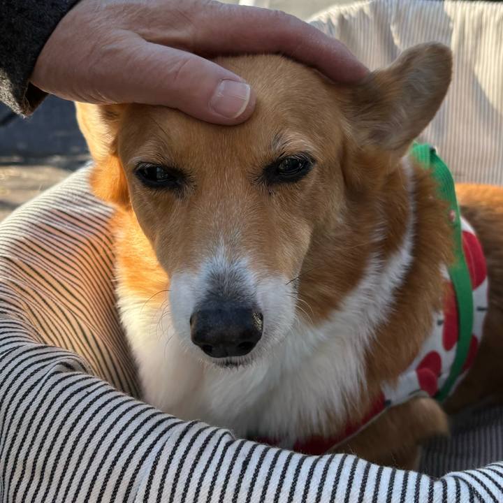 2fb2f283 9968 4b2e 86d3 ef3503479834 1736827882663