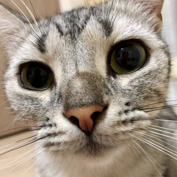 2fb3055b e373 4c90 b9e2 dc13749e9a41 1531865998880