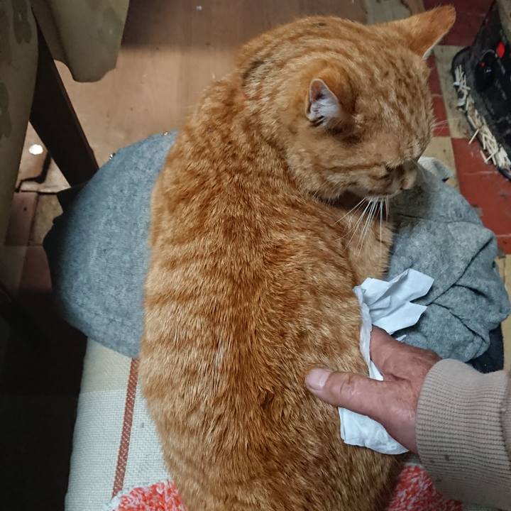 2fb30f13 b12a 4a17 9b16 6c97d58a99db 1577396613635