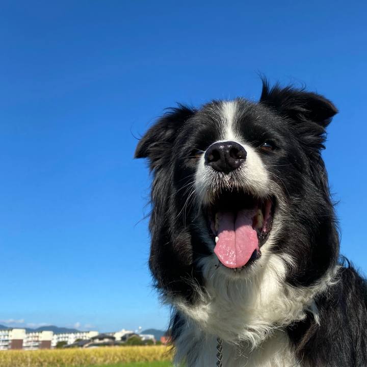 2fb330db 0e97 4d6e 9b78 c5ef25e5aacf 1634258252667