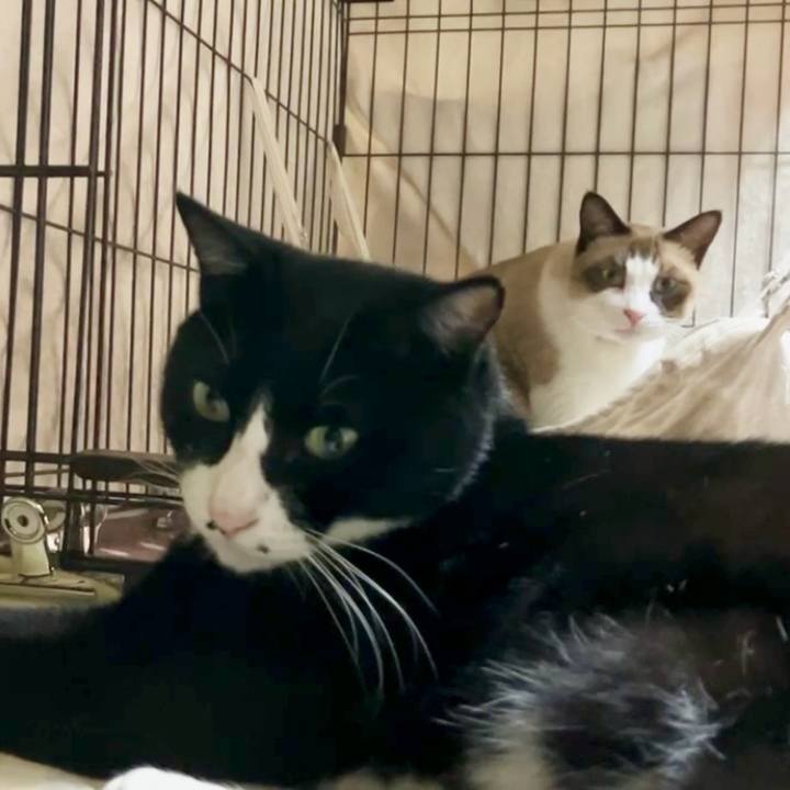 2fb34128 5940 4f0d 963b 9c5783c424e0 1729848543686