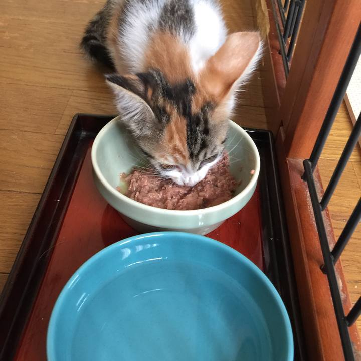 2fb365a7 3ea6 45b9 aff7 61270361326a 1630394049973