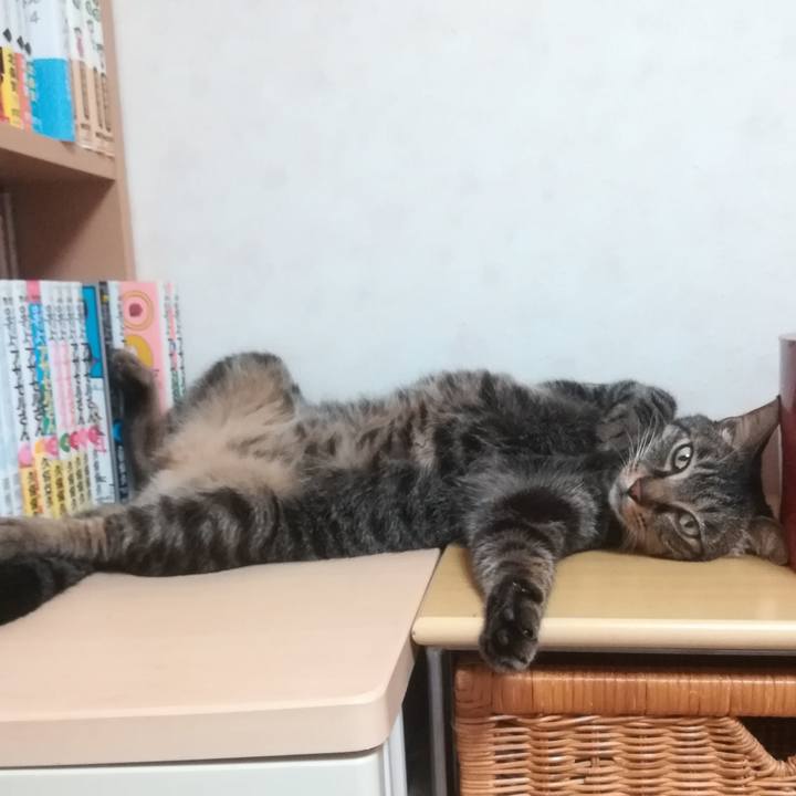 2fb37373 c42a 495b 8687 68f3c864e9a4 1531224369084