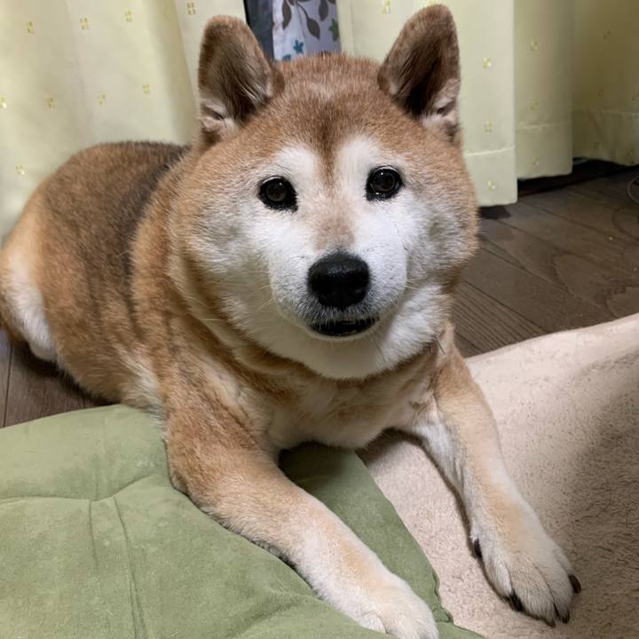 2fb37f10 3675 4ae6 b355 4ae326d65fa7 1591264952171