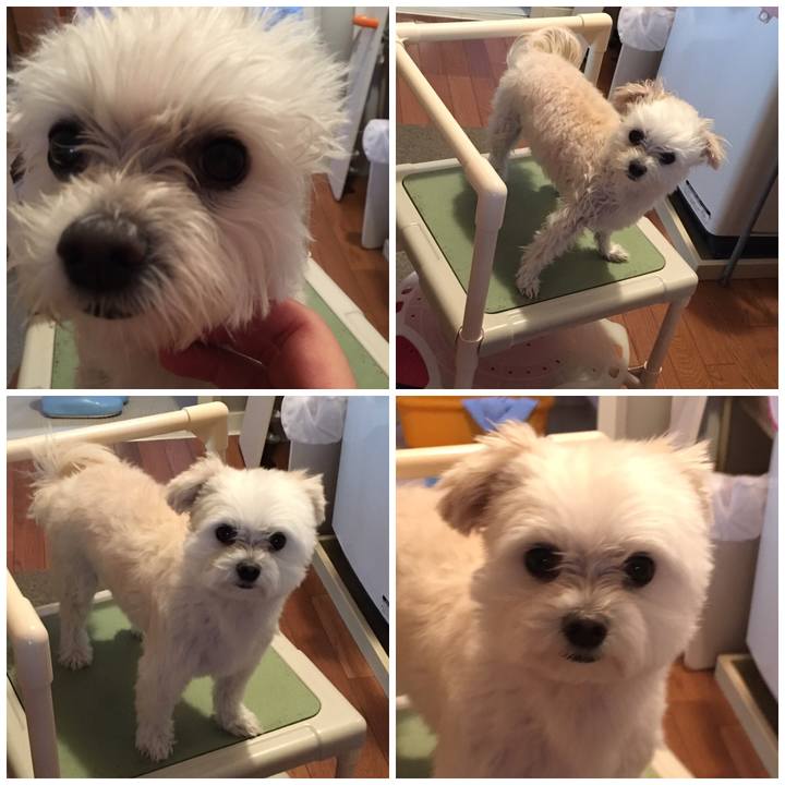 2fb38779 741a 457b aa43 64e95a323dc2 1541048570391