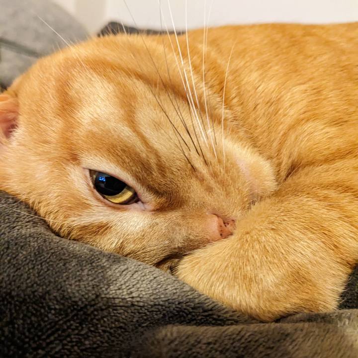 2fb3b8bd de6c 441c a150 843100223333 1675032369104