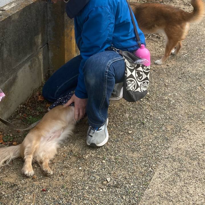 2fb3d686 e9f0 40f8 a281 da9b8d9b9f9f 1745016647350