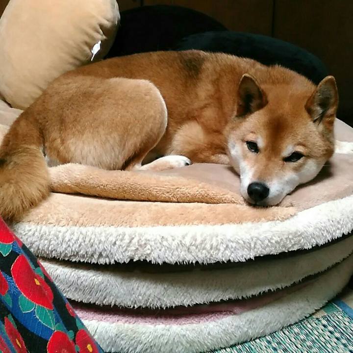 2fb42aa9 065b 4e0e ab8f 1d0f5bc667f3 1550042382606