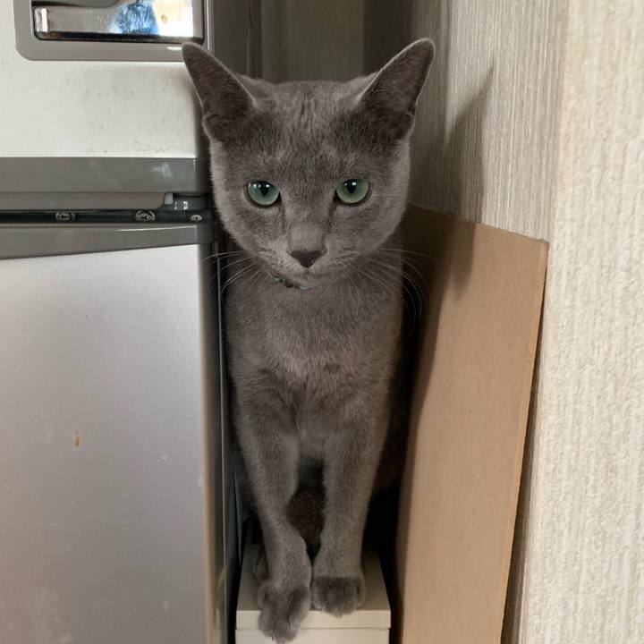 2fb4a70b d4bd 4cab bd9a 3e1ec6aadeee 1575431075060