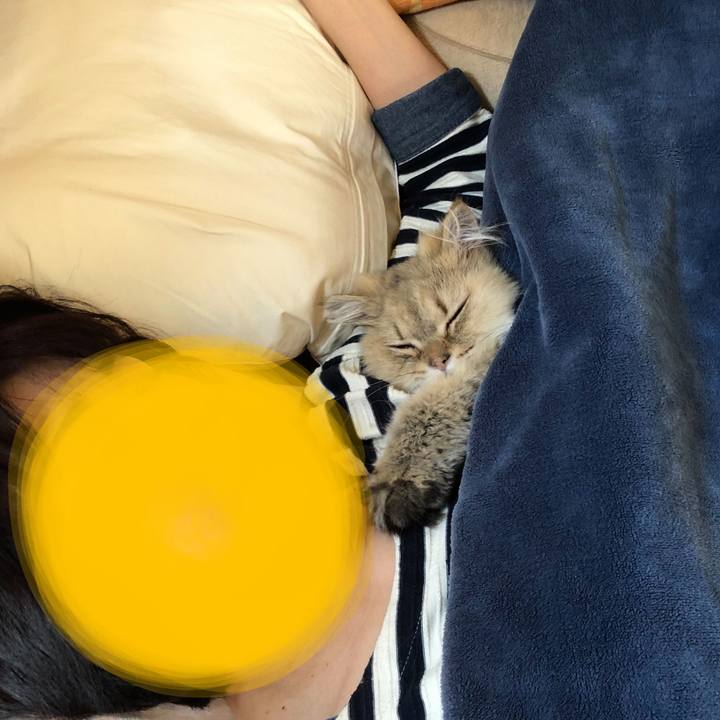 2fb4b382 c681 40e2 af30 591bc04b44b1 1619510501168