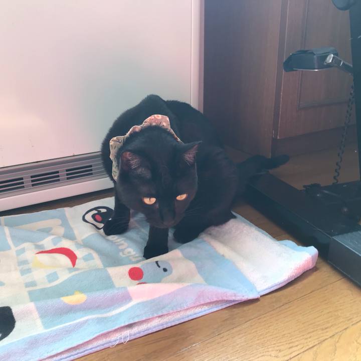 2fb4b419 d347 49ed a178 13cf939ebc82 1617155635235