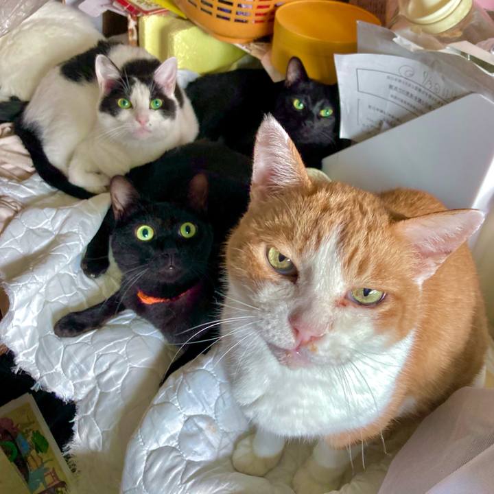 2fb4b5d1 3f92 4849 b22a 41188999da28 1695597123968