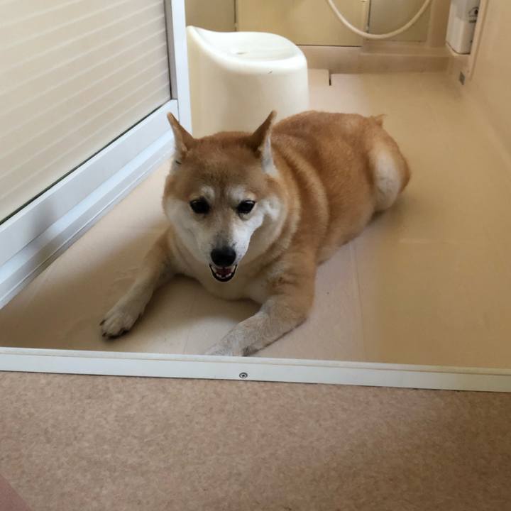 2fb4d9c4 1f96 4dcd 98ef d5dc57045fef 1567733796017