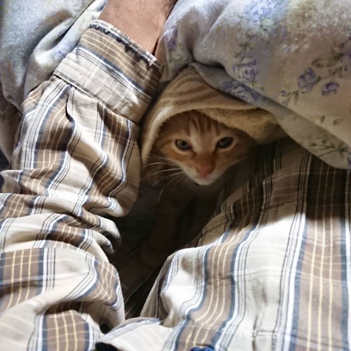 2fb4f3bd 5341 439f 83d7 874f814623e2 1630787161918