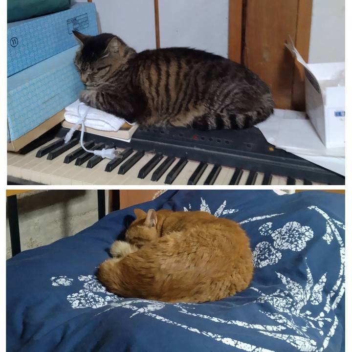 2fb51830 c80c 4327 81ae e562857f9d1f 1719097078664