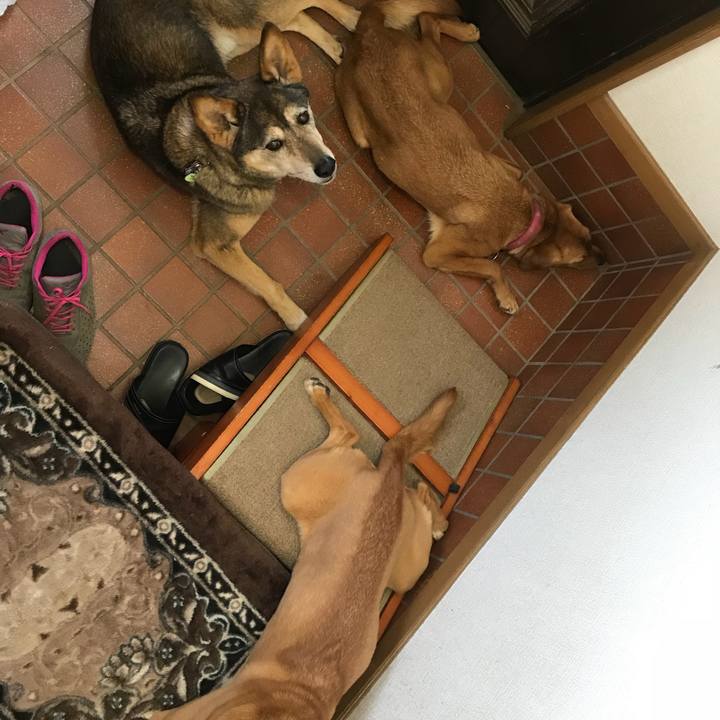 2fb52840 b84f 4c73 8748 e290e8aed2fd 1524362617330