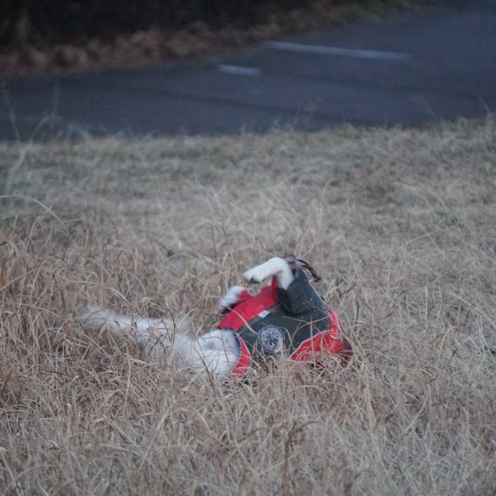 2fb55890 2d6f 4cb1 b0d6 f9710684ef6d 1515882990194