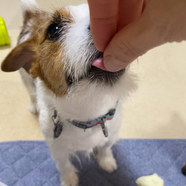 2fb5f87a 4cd5 457a b160 55482a00c583 1758115683730