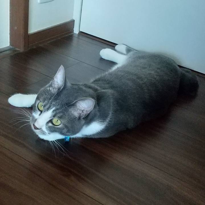 2fb62cf1 6ec0 4e83 8900 0fc68a8f401b 1598325561002