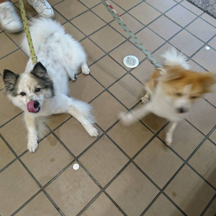 2fb64644 62bc 4979 9c64 0e20e216b005 1580121399879