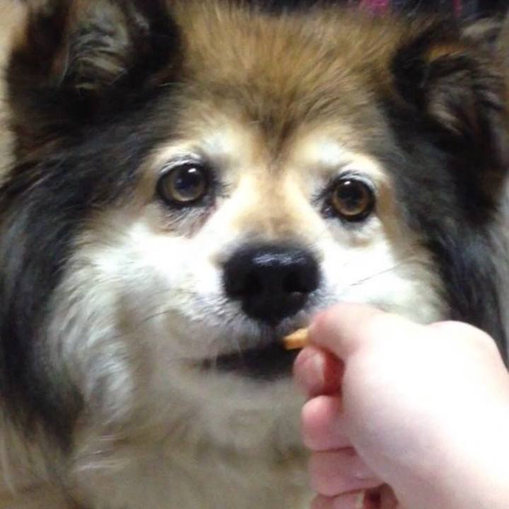 2fb66d3f c7c0 4627 b32f f9b3d0423c30 1592805464781