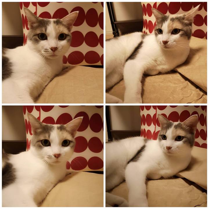 2fb6931d 6d64 4e79 a16d 76bfd0705ded 1593079163969