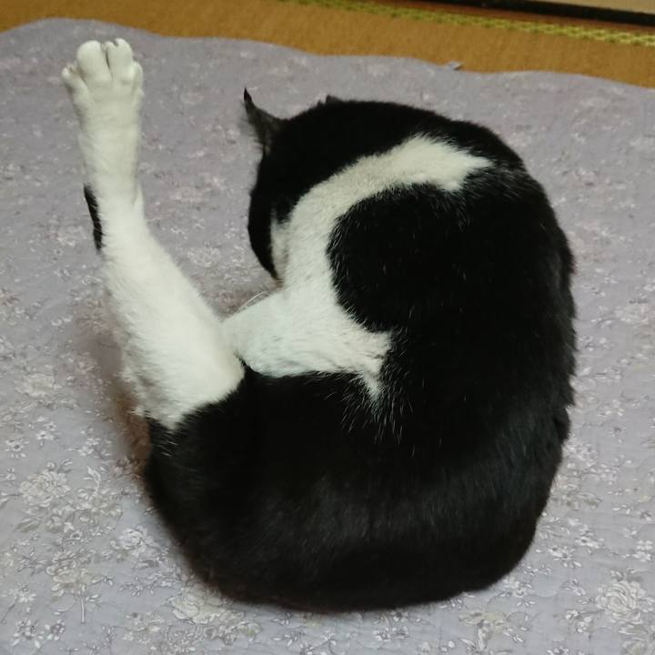 2fb6aa16 e462 4e4a bd71 45cb3e8509b8 1545644905197