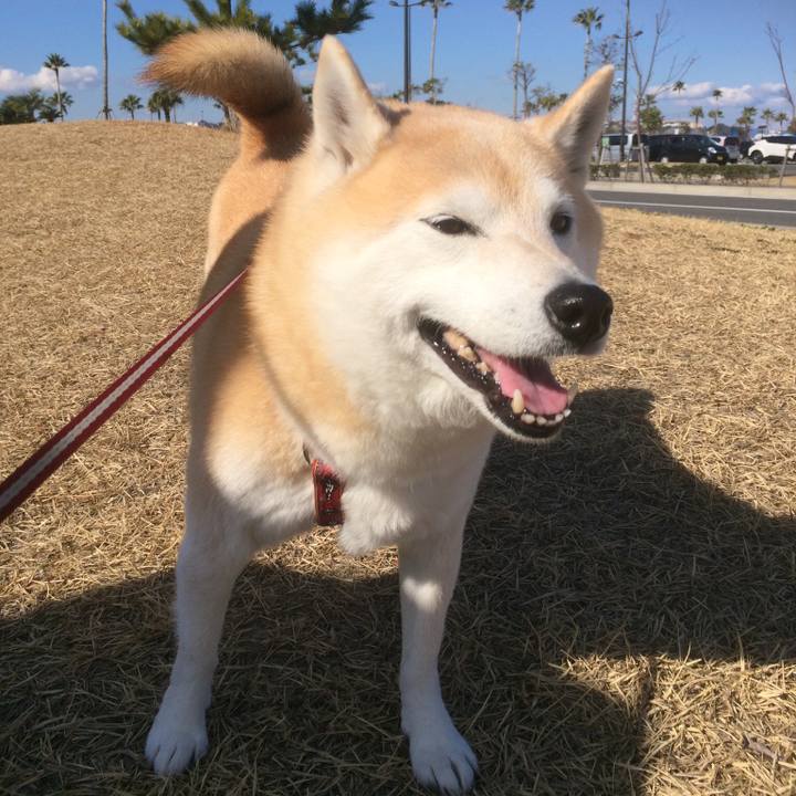 2fb6ae79 5d32 4677 8c8f ab33e3783711 1550588745780