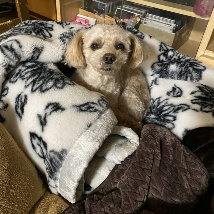 2fb6b2e5 9280 45c4 855c d19e5a684112 1607611783876