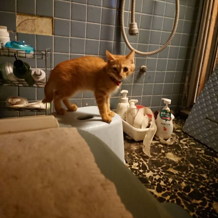 2fb6e6bd 44c7 4b97 bda6 c7fa09ff9e46 1631008345681