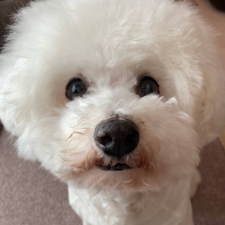 2fb740d3 c7f9 40ff 917b b4f33b654546 1702953643075