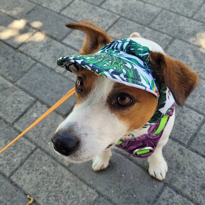 2fb7a201 88a8 4050 85ba 11d7b4e9ae9e 1689132633100