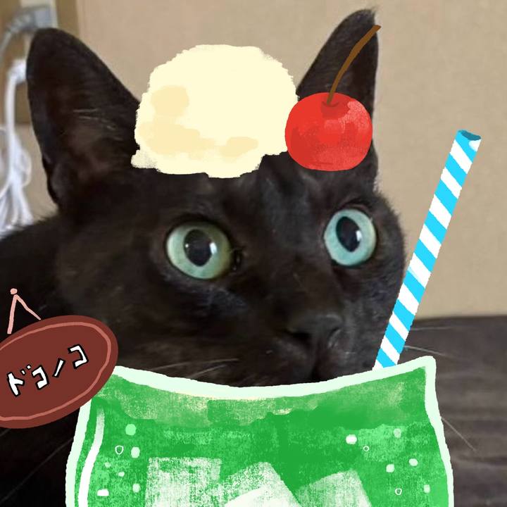 2fb7ba04 4158 49db a0c2 7f046a6aa9b2 1755125710279