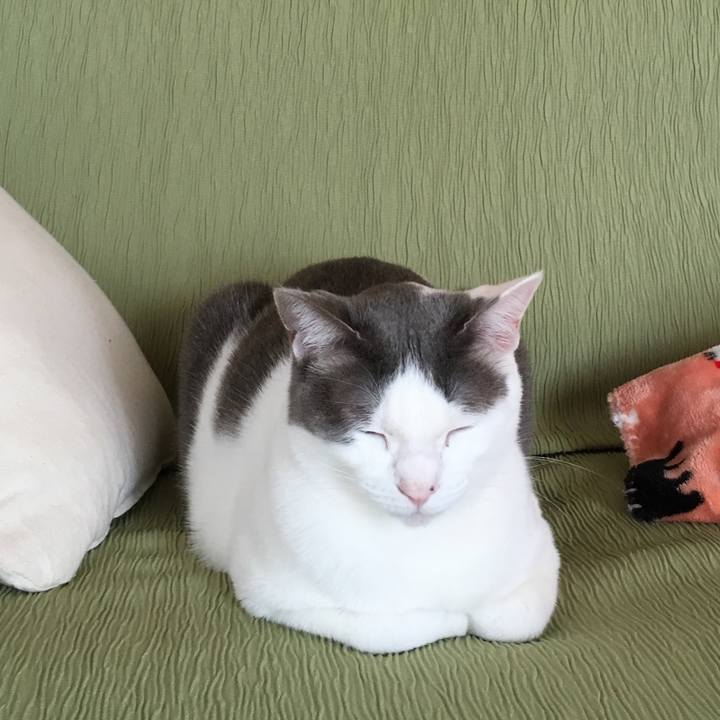 2fb7bbdc 6b26 43e8 994b 84f19c262c79 1523227242310