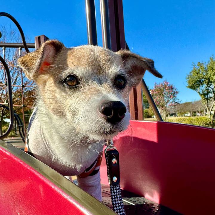 2fb7bcdf 52ab 4bce acbc 097cb5a22fa8 1669251974694