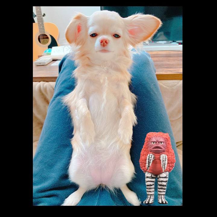 2fb8014b fab9 45d5 8270 3a22a2ca7a34 1645228061246