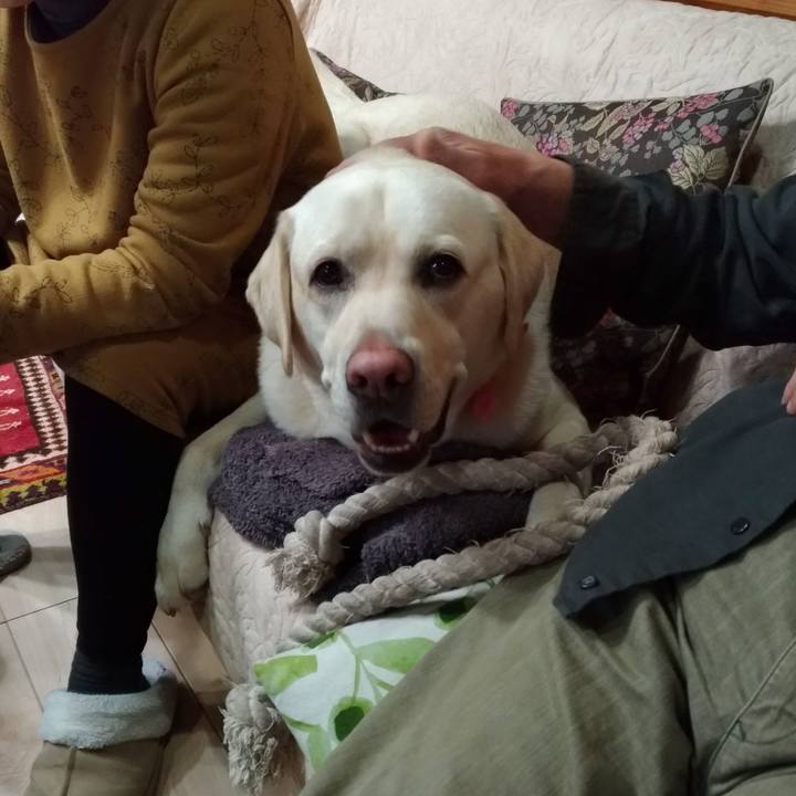 2fb8038b 7d1d 482b b97e 741dd7b91daf 1553358856103