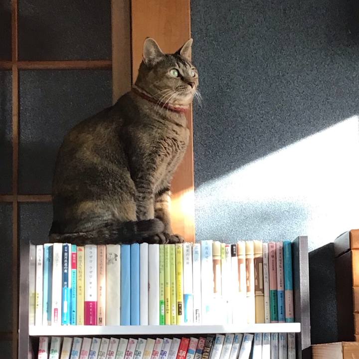 2fb81853 0ae7 4d83 b757 3ca851a94531 1636677088576