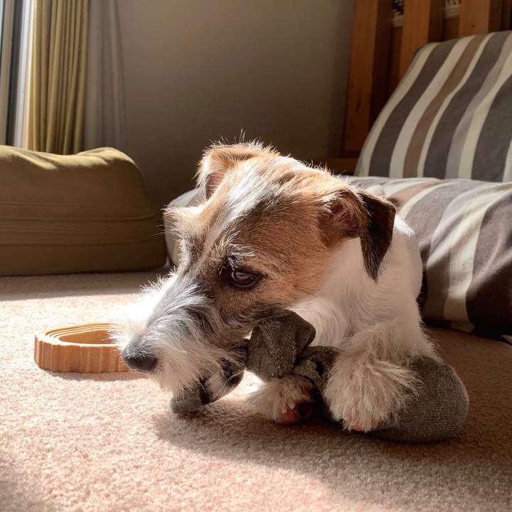 2fb8453b af6d 4062 a02d c2c027e78cf6 1572234155877