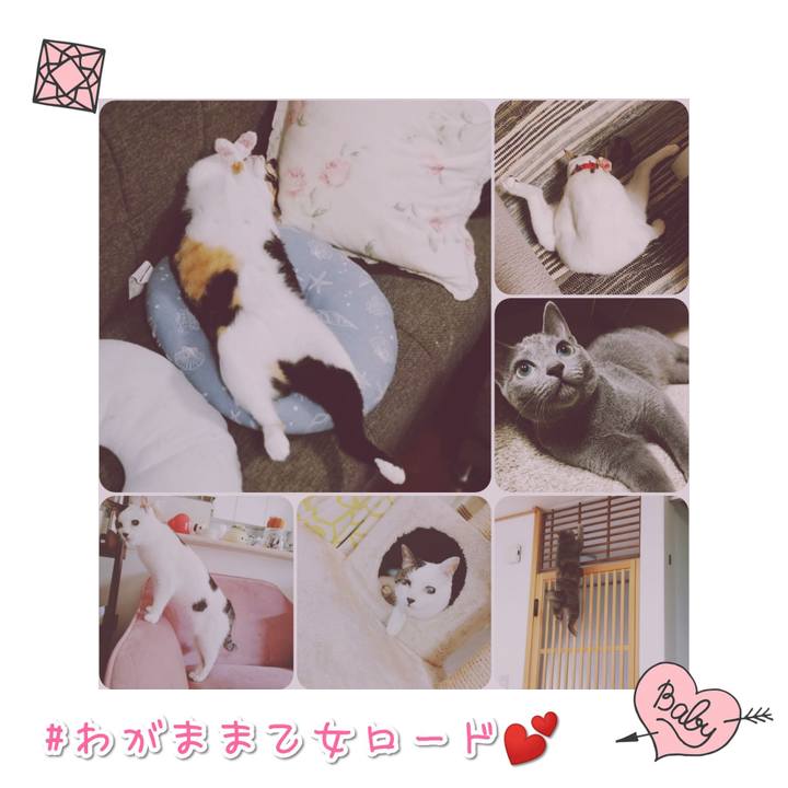 2fb859f3 8f94 4de8 9d62 49403a72e236 1568104938778