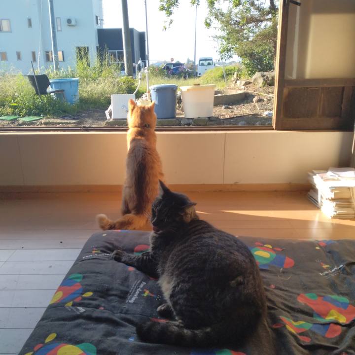 2fb8c21c 0dc0 4852 a31c df354f08f047 1663457746383