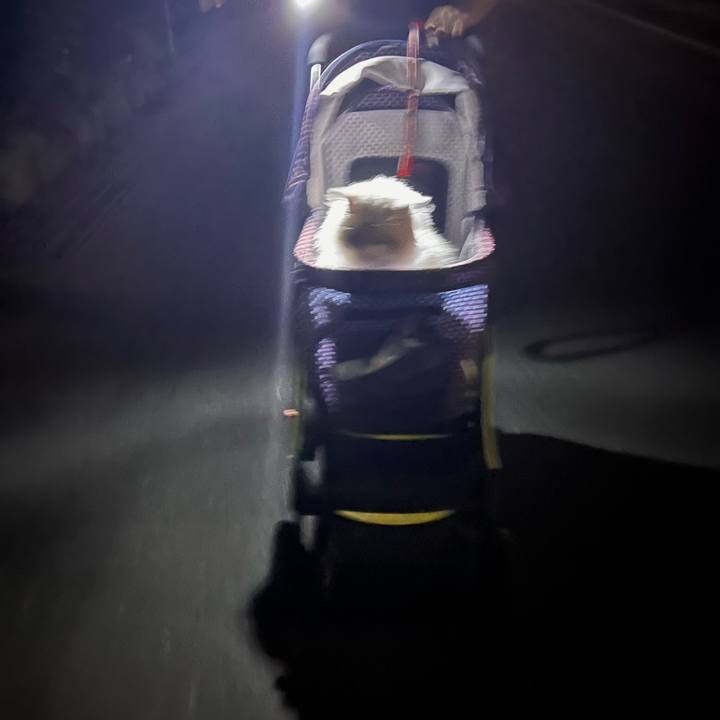 2fb8d402 9b10 4ae3 8af3 38968dc0d43b 1695676130935