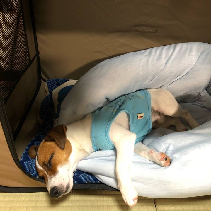 2fb8dce3 03c6 4a25 85b8 72f7516aaa32 1531218874200