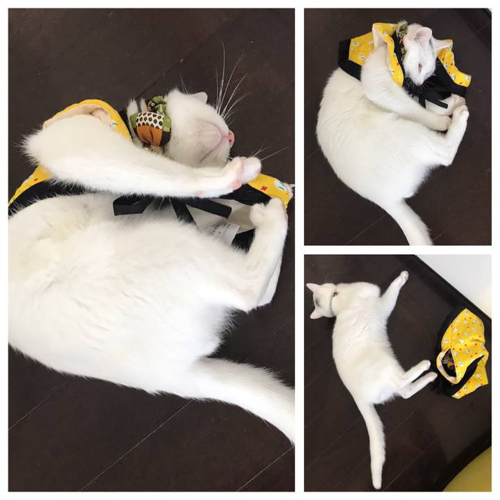 2fb8f0f8 6ceb 44f7 ae60 c2a41e7291c8 1577871011186