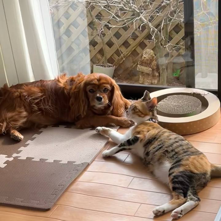 2fb93fbc 1fa0 46c3 a281 f7747d526fc8 1673754343426