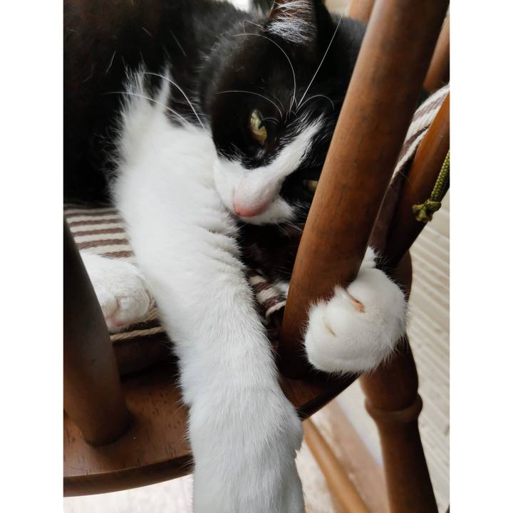 2fb950d5 c646 493f b451 ee6fa3fdc67a 1692767361889