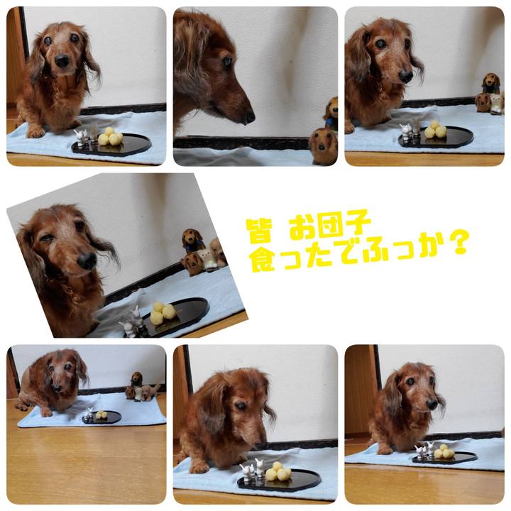 2fb96cee 2cfb 4df2 82b1 b52513709b64 1726571671571