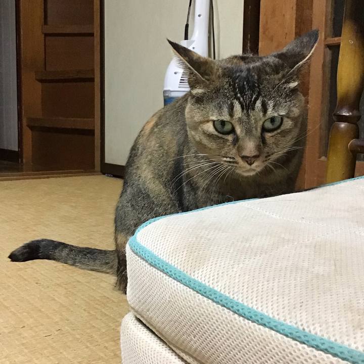 2fb97254 3fd6 4612 83e7 5de724e61dc1 1663762103286