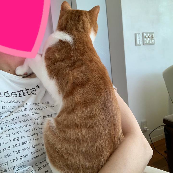 2fb9b348 4d9c 47c1 8a83 36af2a217b35 1588114585630